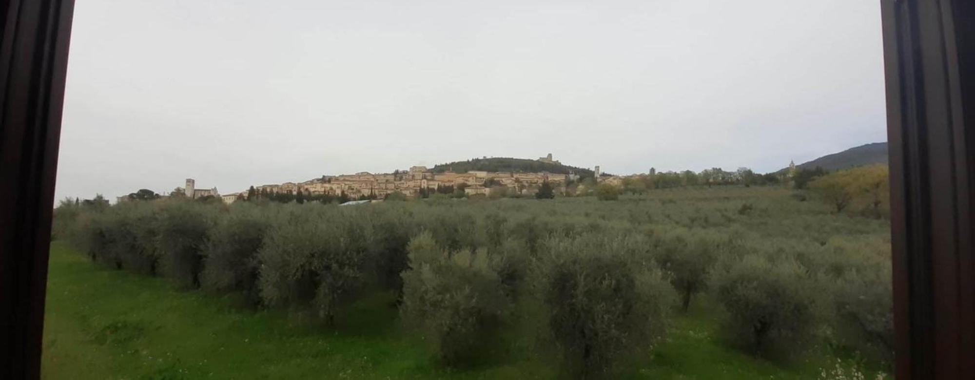 Appartamenti Cardinali Assisi Exterior foto